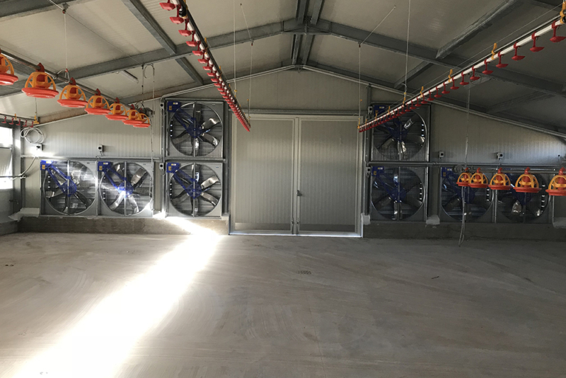 Raffrescamento e ventilazione capannoni per allevamenti avicoli - Progettazione Impianti avicoli chiavi in mano