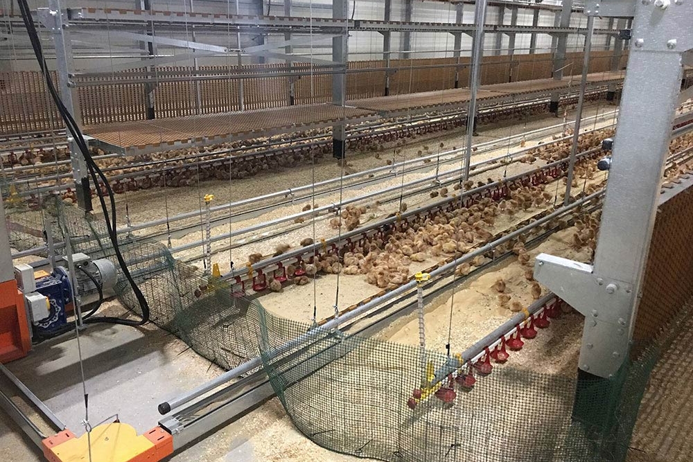 poultry aviaries - aviaries for laying hens - aviary system free range - aviary poultry systems-6